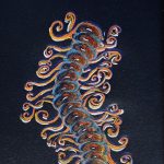 Colored pencil sketch of an ornate polychaete (Amblyosyllis) on black paper.