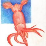 Colored pencil illustration of a squid created using a complementary color palette.