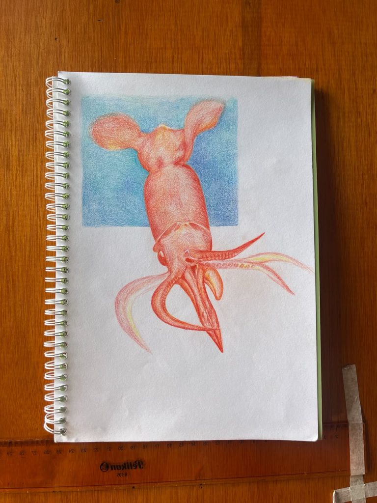 Squid in Colors illustration displayed in a sketchbook after completion.