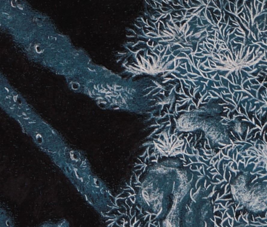 Close-up of the coral structure in Tree of Fish.